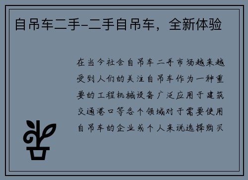 自吊车二手-二手自吊车，全新体验